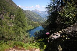 Hüttensee 30302 2011-08-02.jpg
