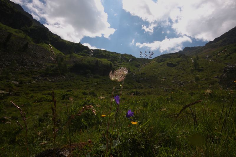 Datei:Herzmaierkar 32595 2011-07-06.jpg