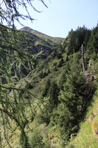 Lahntalrinne -sattental 56627 2017-08-25.jpg