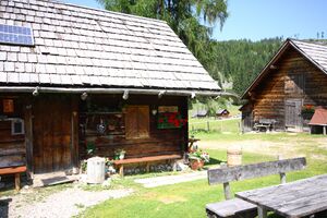 Leni´s hütte viehbergalm 96930 2015-07-16.jpg