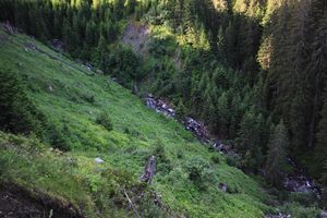 Möderinggraben bach 78108 2018-06-11.jpg