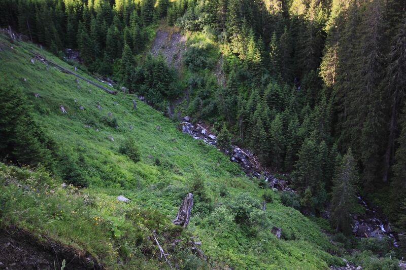 Datei:Möderinggraben bach 78108 2018-06-11.jpg