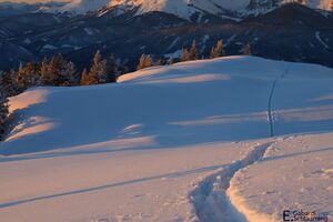 RossfeldIMG 7850.jpg