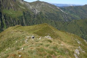 Schönwetter großsölk 33202 2016-08-26.jpg