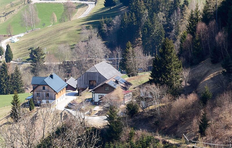 Datei:Steinbauer michaelerberg ost-0024-2025-04-09.jpg