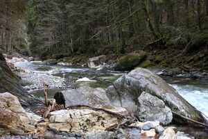 Strubschlucht 34351 2014-01-20.jpg