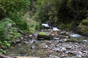 Teufelsschlucht Seewigtal 73365 2014-10-02.jpg