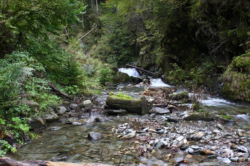 Datei:Teufelsschlucht Seewigtal 73365 2014-10-02.jpg