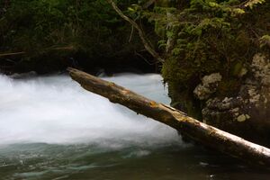 Untertalbach 2174 2009-05-29.jpg