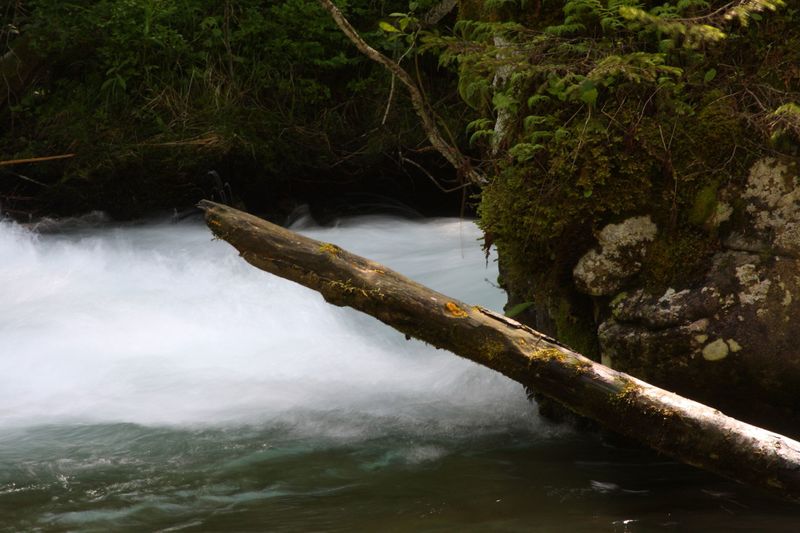 Datei:Untertalbach 2174 2009-05-29.jpg