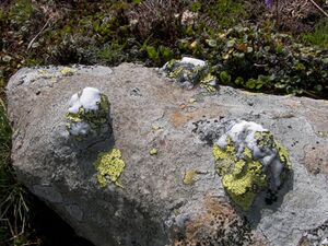 Weitkar putzental 16579 2006-07-06.jpg