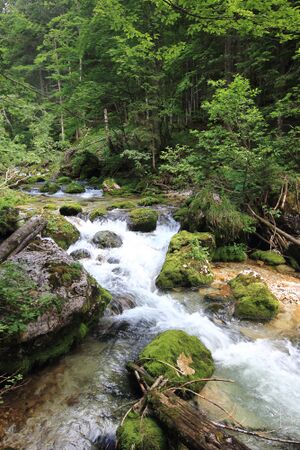 Zimitzbach grundlsee 77300 2018-06-04.jpg