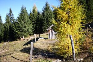 Berillenalm 10826 2015-10-27.jpg