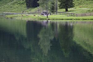 Bodensee seewigtal 63421 2014-06-21.jpg