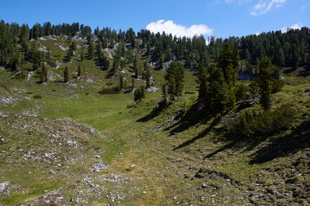 Kessel plankenalm-1000-2022-06-12.jpg