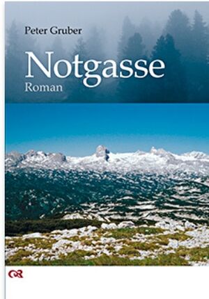 Peter gruber Notgasse.jpeg