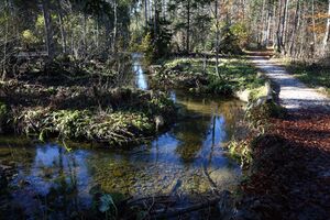 Ranftlmühle 78222 2014-11-03.jpg