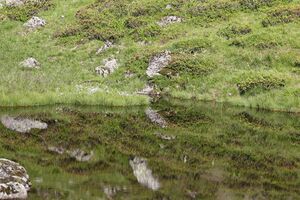 Südl-see tuchmoarkar 79711 2018-07-04.jpg