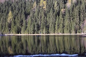 Spechtensee 62931 2017-10-31.jpg