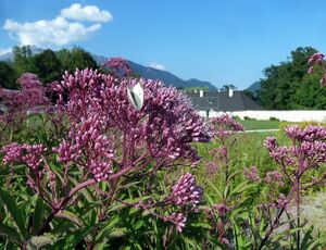 Stiftsgarten Admont08.JPG