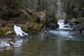 Strubschlucht 34690 2014-01-20.jpg