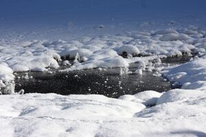Bodensee 26632 2014-01-01.jpg