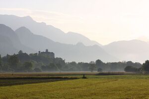 Enns-Altarme bei Niederstuttern 58789 2014-05-26.jpg
