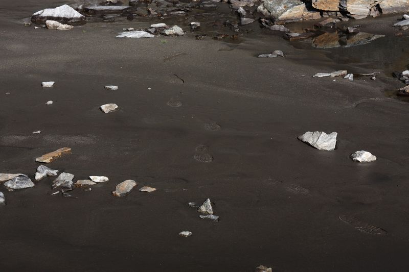 Datei:Goldlacken 0280 2013-10-08.jpg