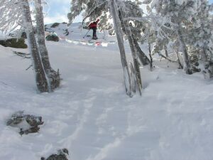 Hochfeld 42949 2006-01-19.jpg