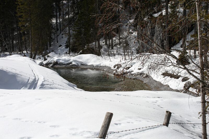 Datei:Marbach ramsau 67603 2018-03-05.jpg