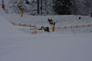 Nightrace 2014 35054 2014-01-24.jpg