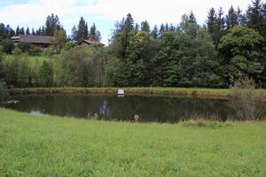 Salleitner Oberhausberg 57531 2017-09-15.jpg