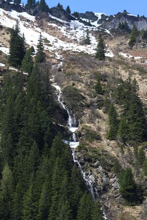 Strickerkar 55631 2014-05-02.jpg