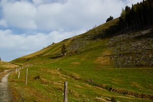 Stubeggsattel-0140-2021-05-24 07.33.29.jpg