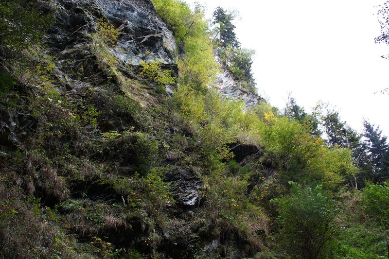 Datei:Teufelsschlucht Seewigtal 73421 2014-10-02.jpg