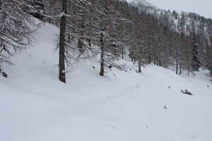 Unt neudeggalm 22.12.2011 2237.jpg