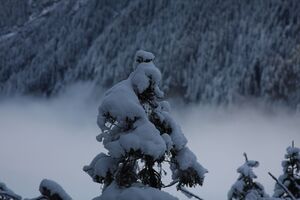 Untertal 0400 2010-11-20.jpg