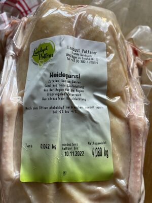 Weidegans landgut Putterer-2165.jpg