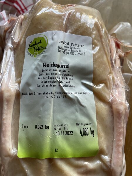 Datei:Weidegans landgut Putterer-2165.jpg