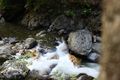 Donnersbachklamm 72853 2014-06-18.jpg