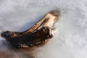 Duisitzkarsee 14343 2011-11-30.jpg