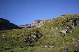 Innere Alm 26223 2010-07-21.jpg