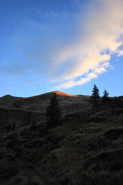 Datei:Kammkarlsp 89997 2018-11-11.jpg