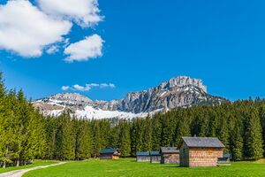 Manuel Capellari CAP19052415212912901290.jpg