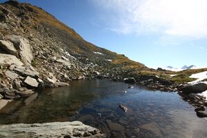 Südliche krukecklacke 01723 2015-09-13.jpg