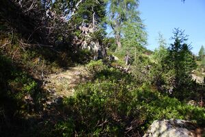 Sabinkar 89950 2015-06-08.jpg