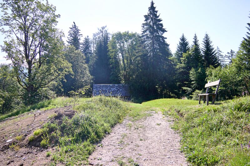 Datei:Schloßboden-Wiese-004-2026-07-11.jpg