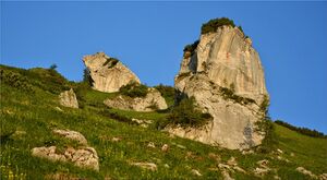 Sulzkarhund 2583.JPG