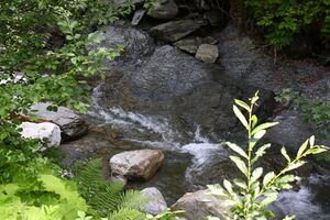 Walchenbach 66066 2014-07-01.jpg