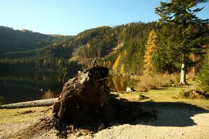 Ödensee 77917 2014-11-03.jpg